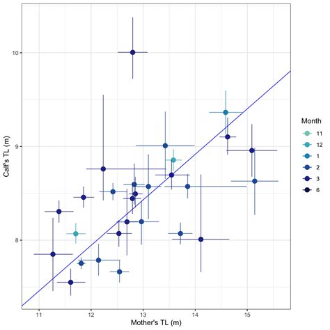 s.tl()|s.t () vs s.tl () Methods in Adobe Analytics .